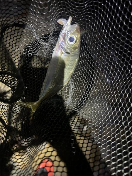 フロートアジング