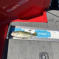 北山田小バスは管釣り状態です。