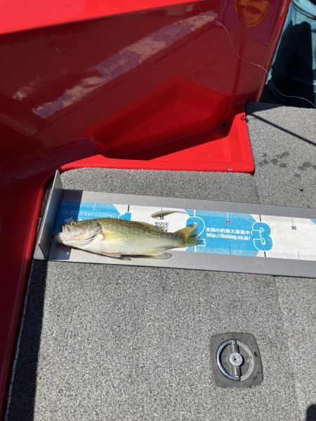 北山田小バスは管釣り状態です。