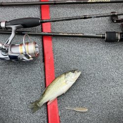 秋バスまだ早いようでした。