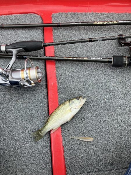 秋バスまだ早いようでした。