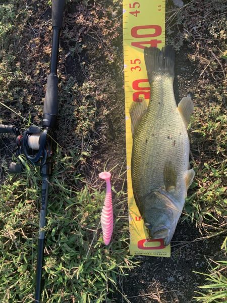 久しぶりのバス釣り