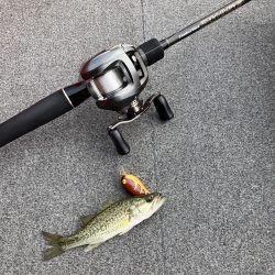 矢橋沖ディープホール