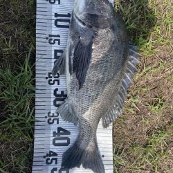 イチノ兄弟、釣果!