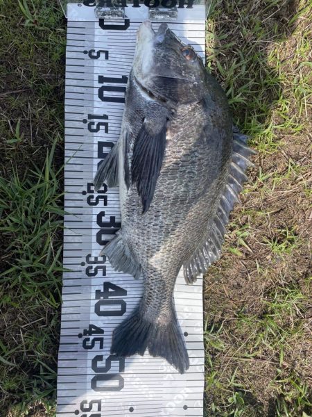 イチノ兄弟、釣果！