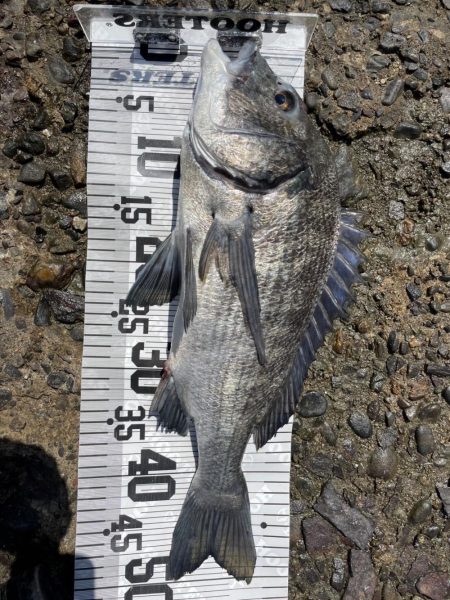 イチノ兄弟、釣果!