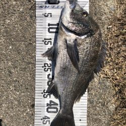 イチノ兄弟、釣果!