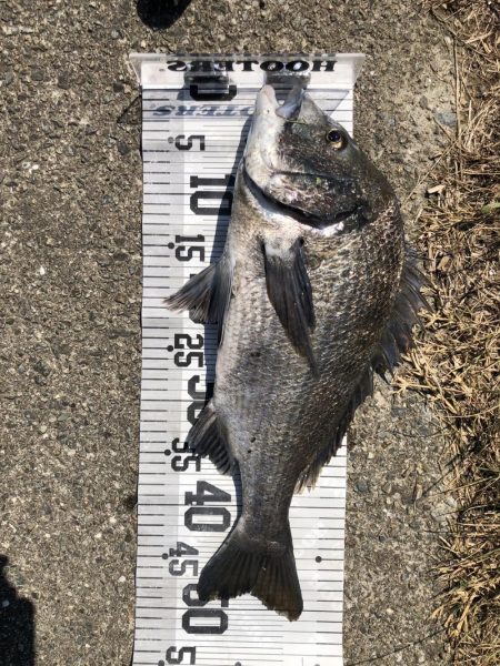 イチノ兄弟、釣果！