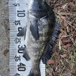 イチノ兄弟、釣果！