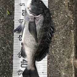 イチノ兄弟、釣果！