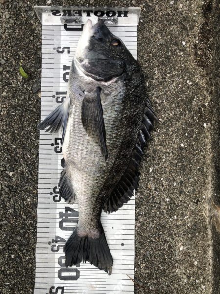 イチノ兄弟、釣果！