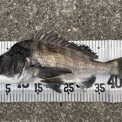 イチノ兄弟、釣果!