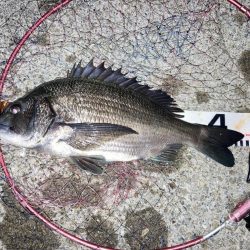 久しぶりの大蔵海岸