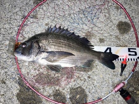 久しぶりの大蔵海岸