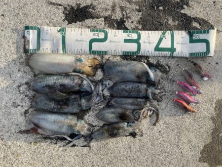 2025 佐渡ヶ島エギング Vol.6【9…