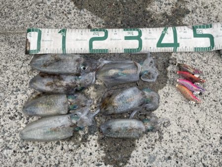 2025 佐渡ヶ島エギング Vol.7【9…