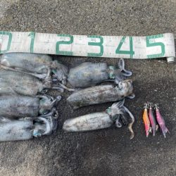 2025 佐渡ヶ島エギング Vol.10　【9月15日】