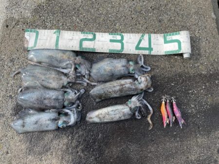 2025 佐渡ヶ島エギング Vol.10　【9月15日】