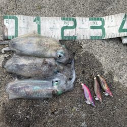 2025 佐渡ヶ島エギング Vol.11【9月17日】