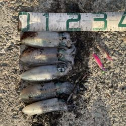 2025 佐渡ヶ島エギング Vol.12【9月19日】