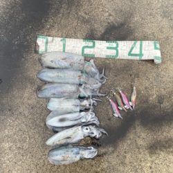 2025 佐渡ヶ島エギング Vol.14【9月21日】