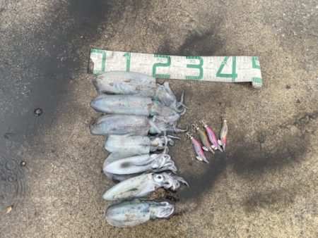 2025 佐渡ヶ島エギング Vol.14【…