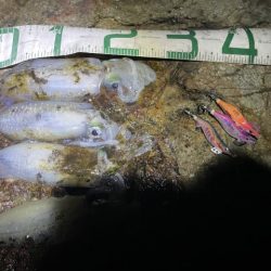 2025 佐渡ヶ島エギング Vol.15【9月22日】