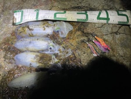 2025 佐渡ヶ島エギング Vol.15【9月22日】