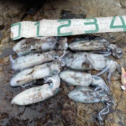 2025 佐渡ヶ島エギング Vol.16【9月23日】