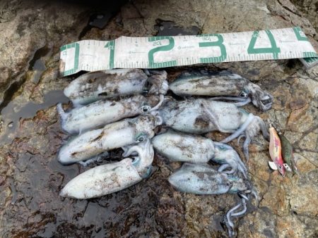 2025 佐渡ヶ島エギング Vol.16【…