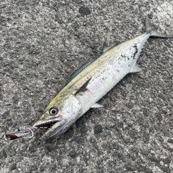 こんなはずでは!