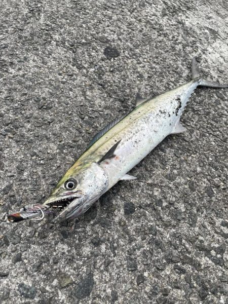 こんなはずでは！