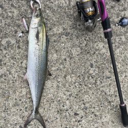 釣れるまで投げれば坊主はない