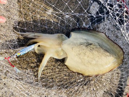 ジグで五目達成