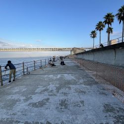 アジしか勝たん②