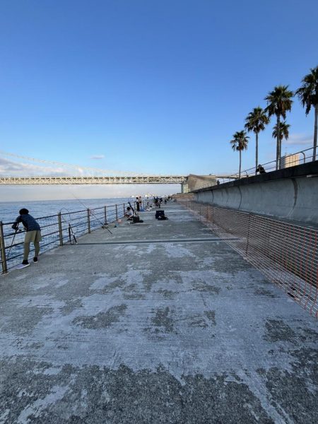 アジしか勝たん②