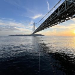 三連休前‥‥魚より人多い