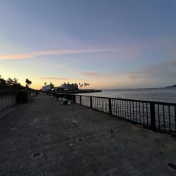 アジ好調!人多め