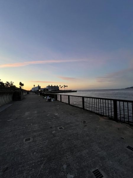 アジ好調!人多め