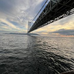 アジしか勝たん