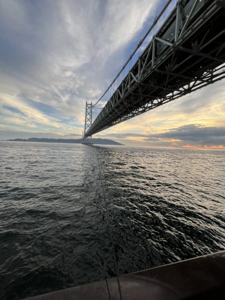 アジしか勝たん