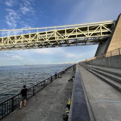 アジしか勝たん2