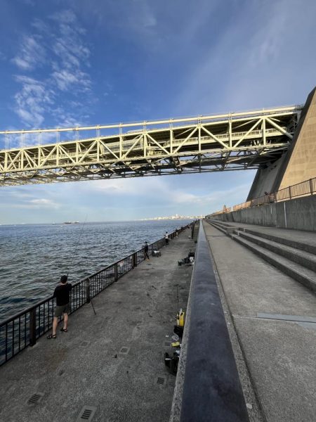 アジしか勝たん2