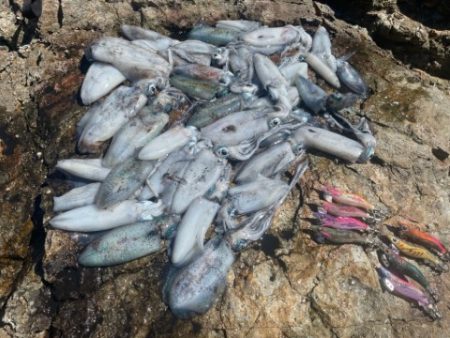 2025 佐渡ヶ島エギング Vol.4【9月6日】