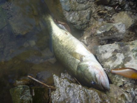 9月24日　一庫ダム釣行