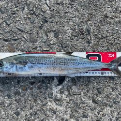 うって変わって