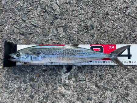 うって変わって