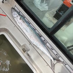 オフショアジギング