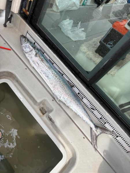 オフショアジギング