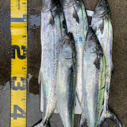 3連休　釣り三昧‼️